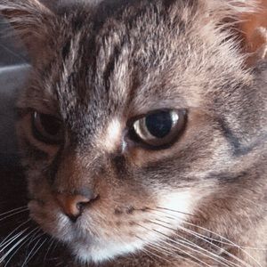 Meet your Posher, Amy